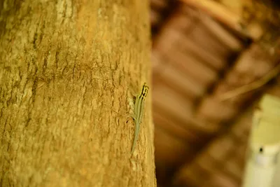 DSC_7958 (Large).JPG